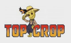 logo topcrop